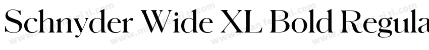 Schnyder Wide XL Bold Regular字体转换